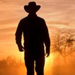 Metsfanjamie (Excluded)